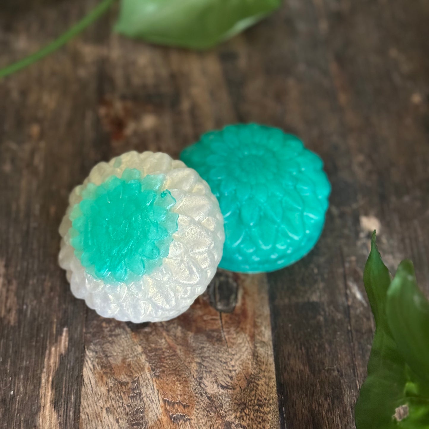 Carnation Comfort | Soap Bar